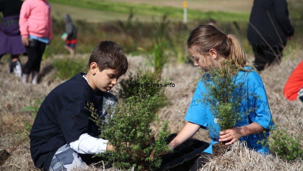 A Cassano Magnago messe a dimora 67 nuove piante per la Giornata dell’Albero Giornata Albero
