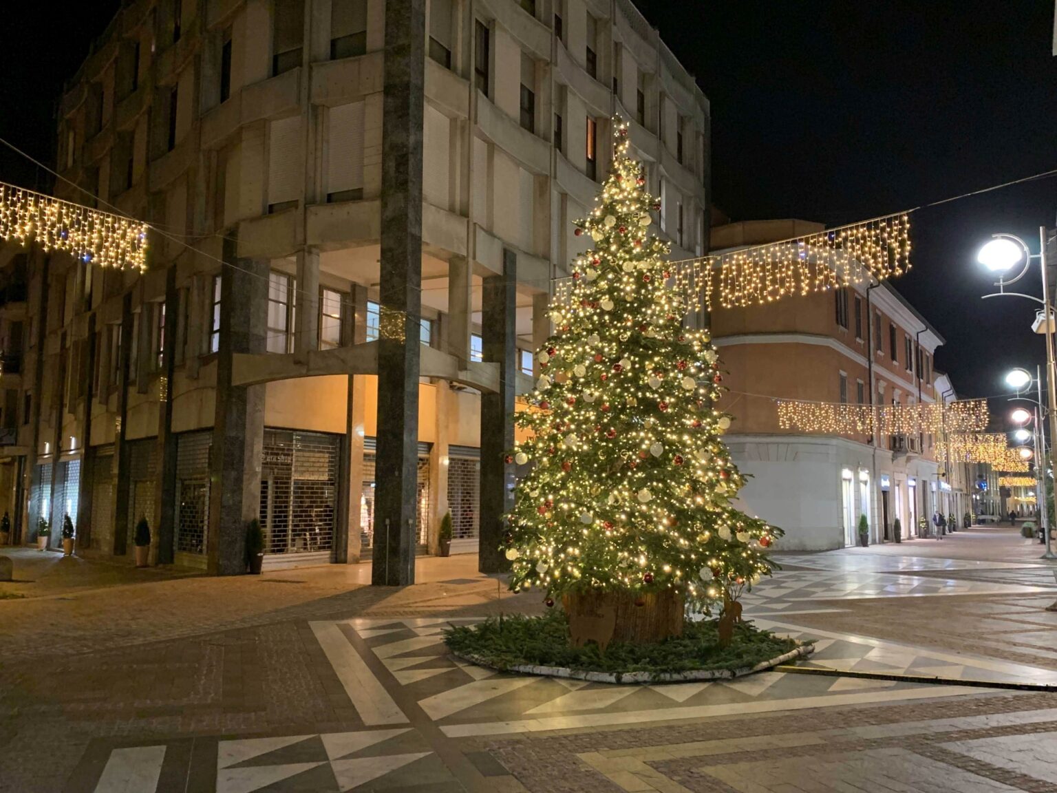 busto albero natale 2020