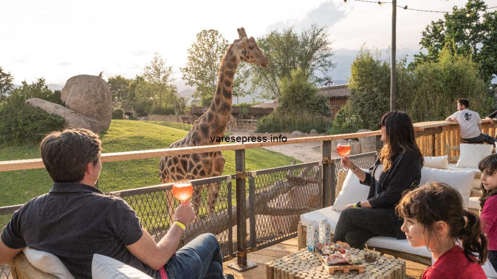 Il Bioparco ZOOM Torino paga il viaggio ai visitatori varesotti