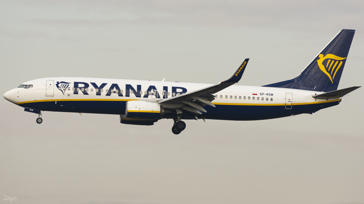 Ryanair, check-in online, protesta di Codici