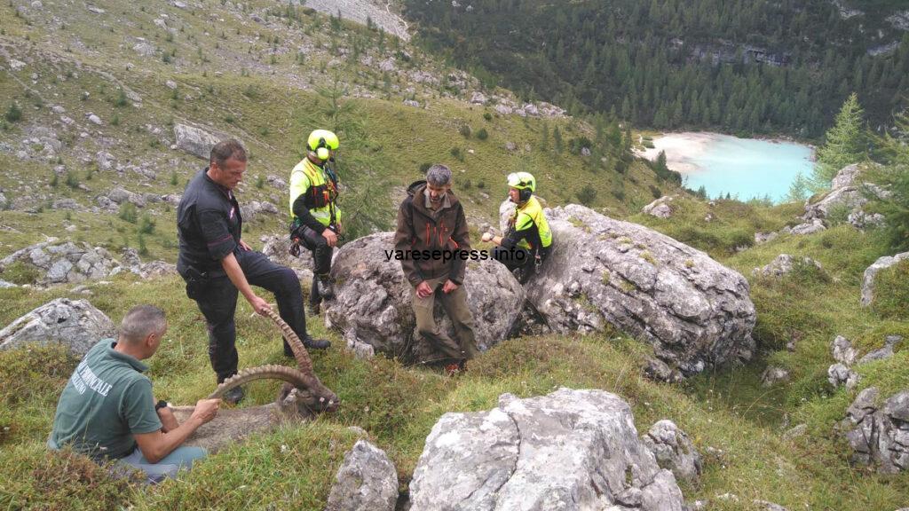 Stambecco in difficoltà nella zona del lago Sorapis