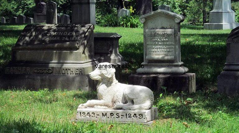 Cimiteri per animali d’affezione, ok dalla Commissione Sanità del Pirellone