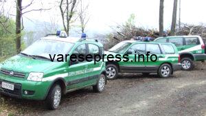 Carabinieri Forestali ed educazione ambientale