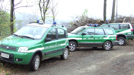 Carabinieri Forestali ed educazione ambientale