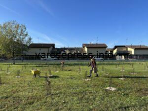 Busto Garolfo, con Forestami messi a dimora 1.560 nuovi alberi