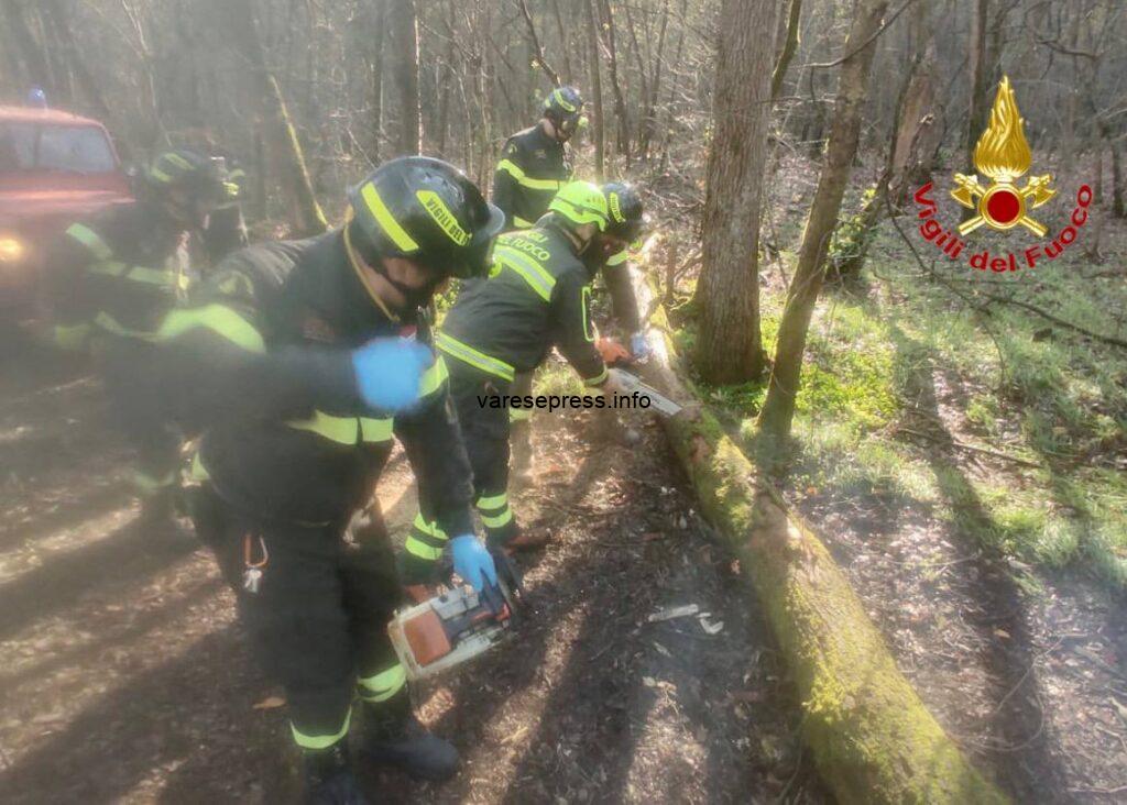 Escursione in montain-bike finita male e altri incidenti, area Malpensa