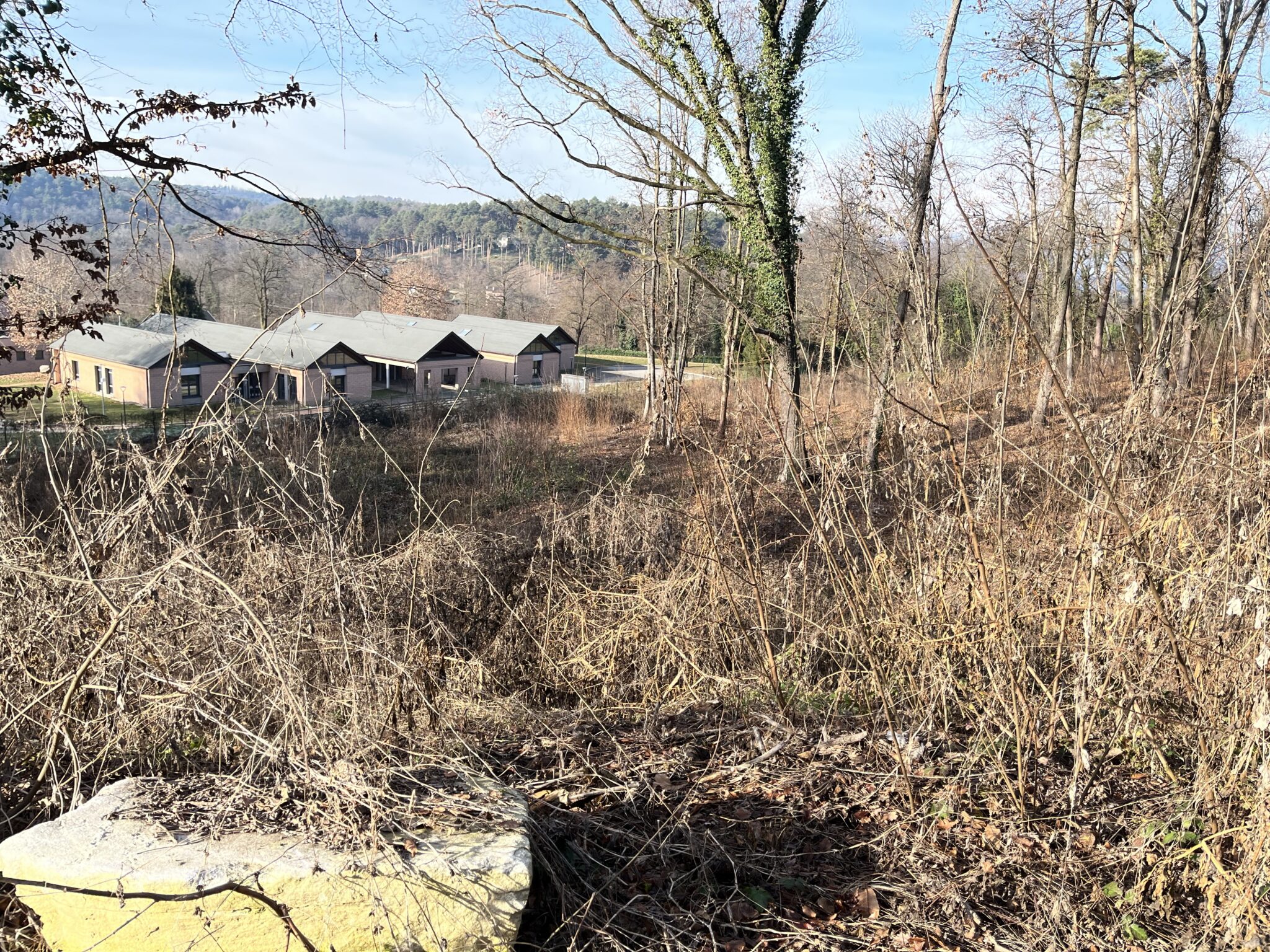 Casale Litta: capire certe dinamiche pare sempre ostico Casale Litta
