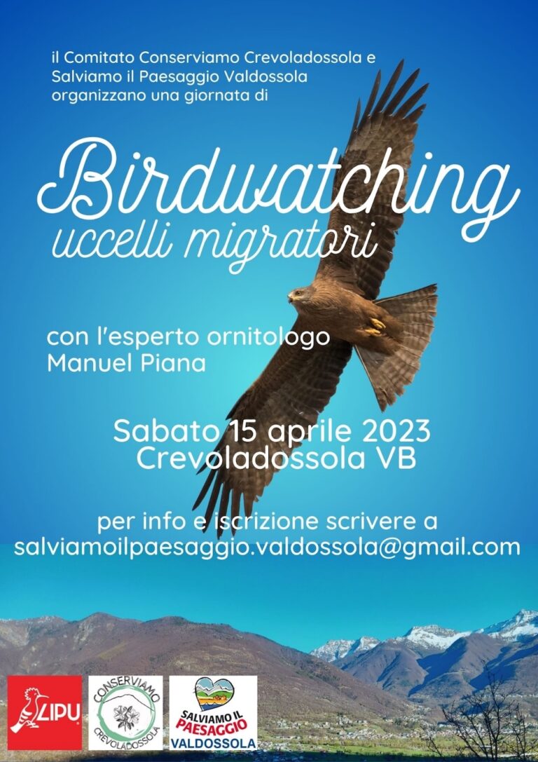 Birdwatching degli uccelli migratori in Val d'Ossola