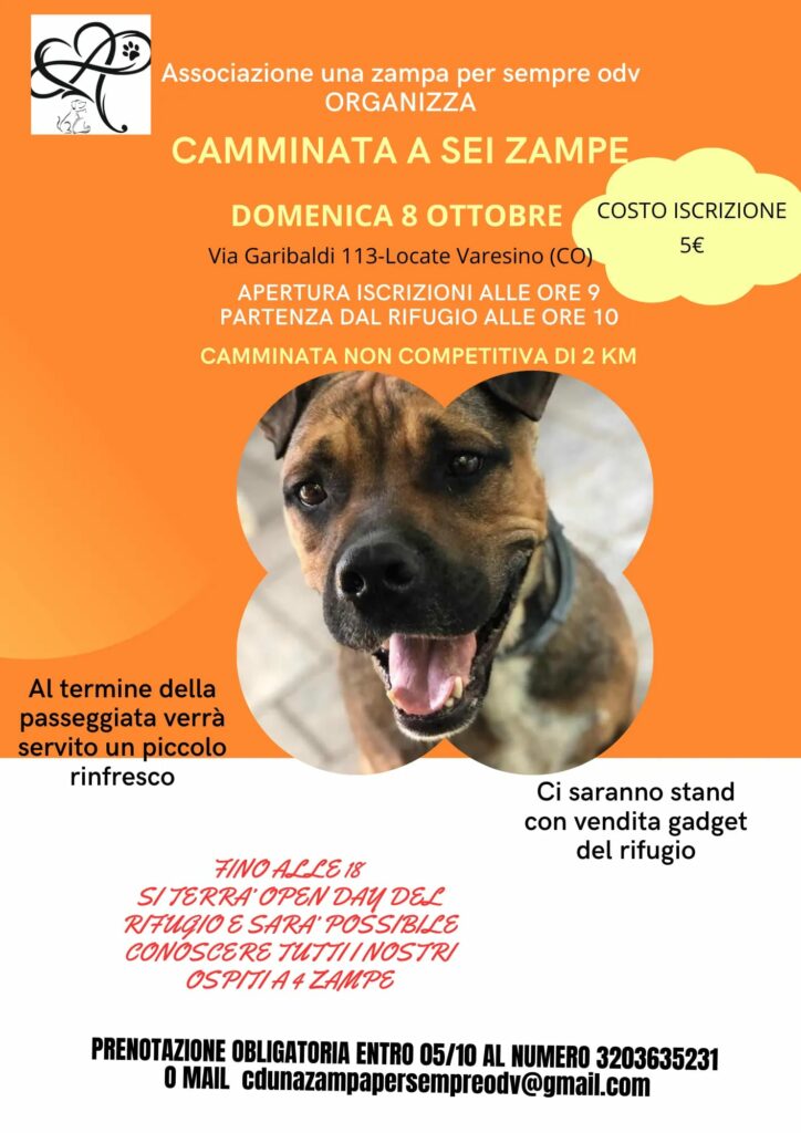 Associazione Una Zampa Per Sempre: una speranza per gli animali in difficoltà Associazione Una Zampa Per Sempre