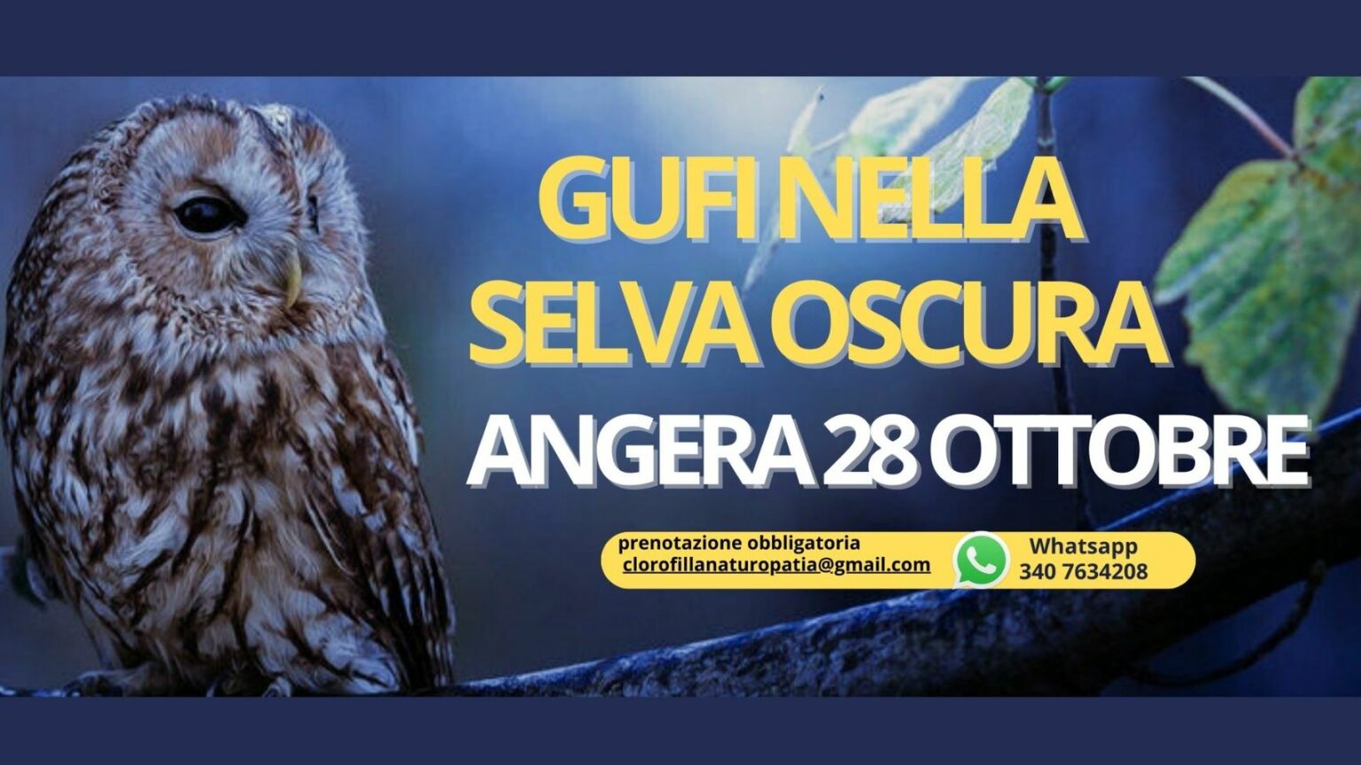 Gufi nella selva oscura, evento ad Angera