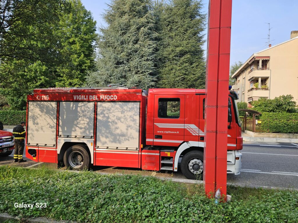 Vigli del fuoco a Somma, calabroni rimossi Vigili del fuoco a Somma, calabroni rimossi, in Corso Europa, casa privata