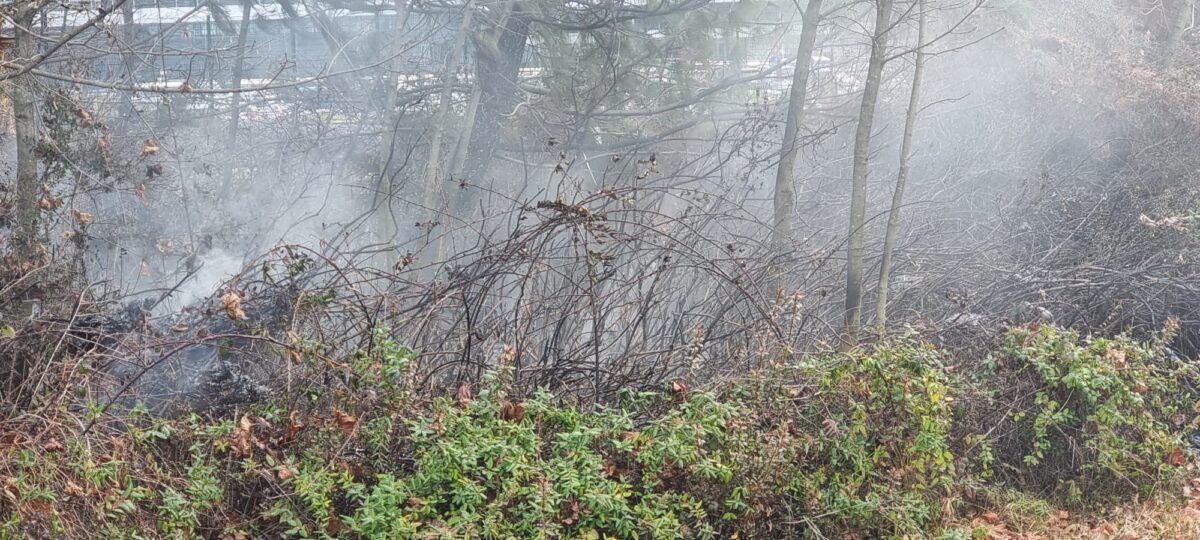 Malpensa, addetti SEA allertano i soccorsi