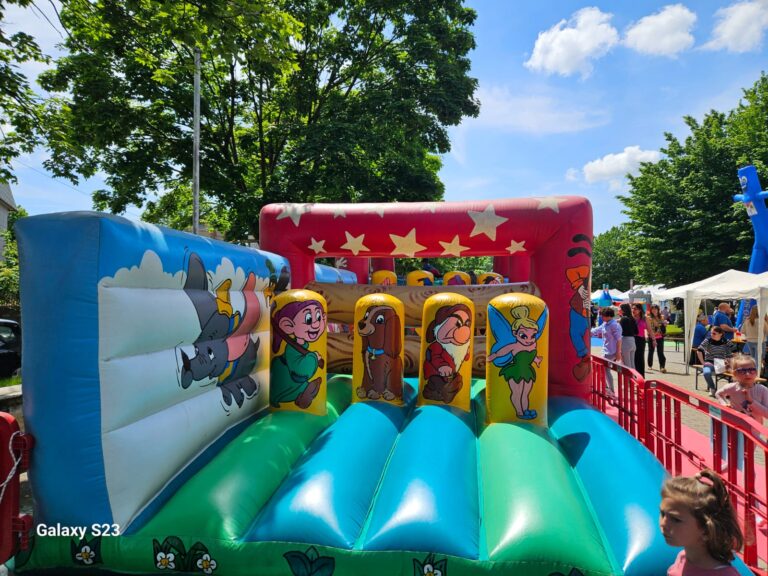 Festa Bimboday a Somma Lombardo