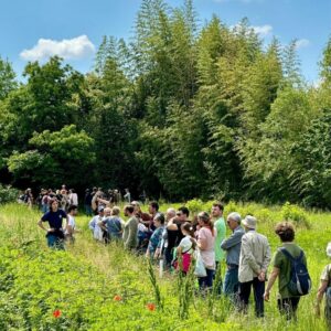 Attività Il Giardino di Fondazione La Comune