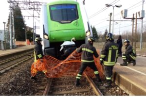 Sesto Calende: cigno sul ponte di ferro