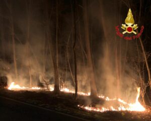 Lonate Ceppino: incendio boschivo 