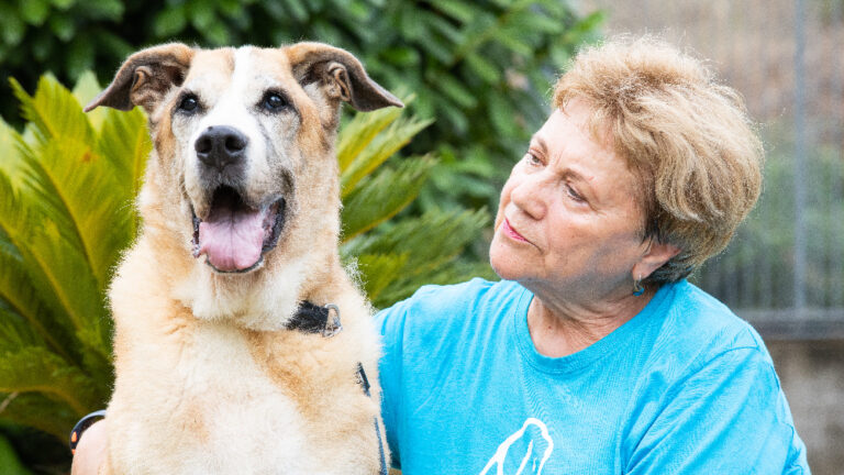 #adottaunnonno: è partita la campagna per adottare un cane o un gatto anziano