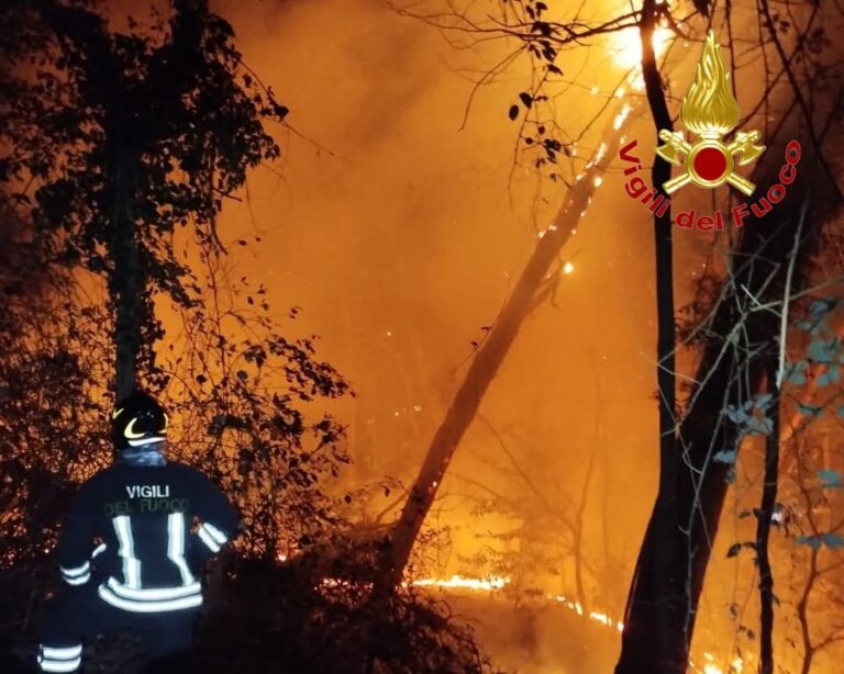 Gallarate: incendio boschivo