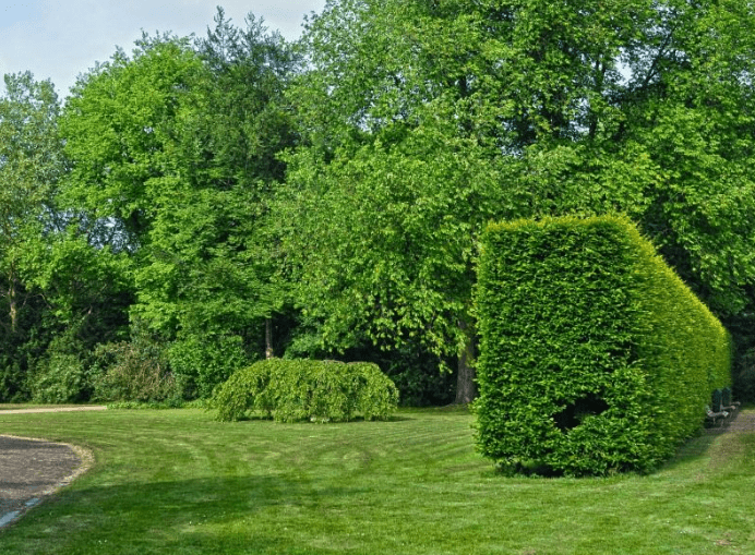 Libro Bianco del Verde