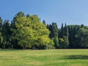 parco_Miralfiore_sito