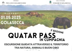 Golasecca: quatar pass in cumpagnia
