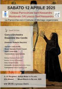 la locandina del concerto