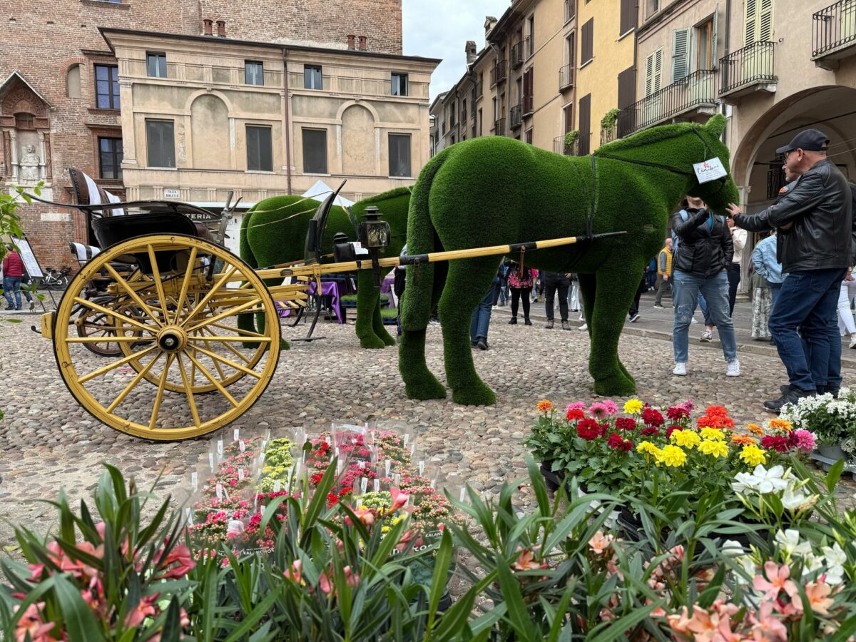 Mantova Fiorita