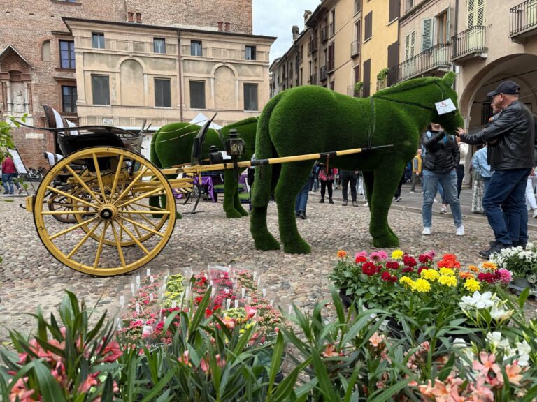 Mantova Fiorita