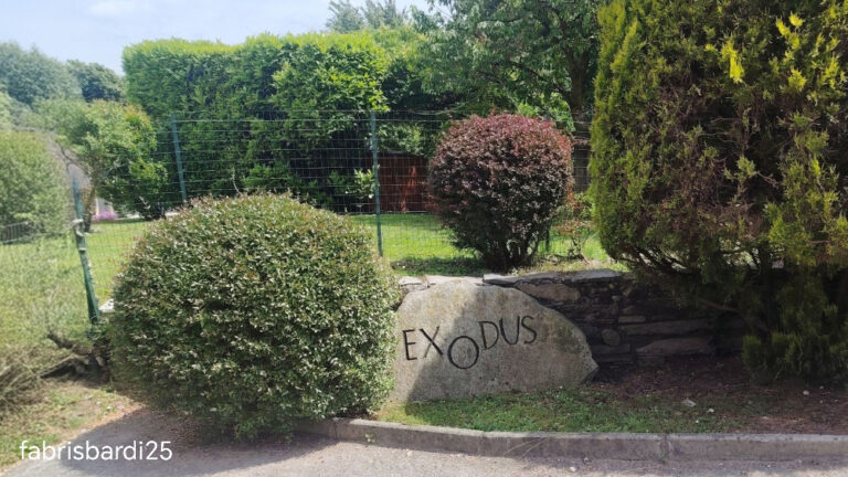 4 exodus: la comunità nella Comunità