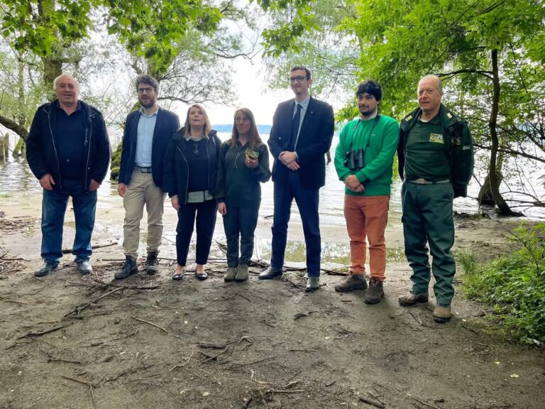 Sesto Calende: Una giornata di verde