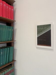 Terra Rossa: l'arte di Velasco Vitali e le fotografie Nicola Galli trasformano la sede degli studi legali BIPART e De Bedin & Lee in un campo di visioni