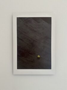 Terra Rossa: l'arte di Velasco Vitali e le fotografie Nicola Galli trasformano la sede degli studi legali BIPART e De Bedin & Lee in un campo di visioni