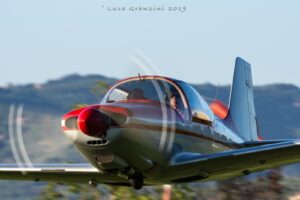 Il Falco di Stelio Frati