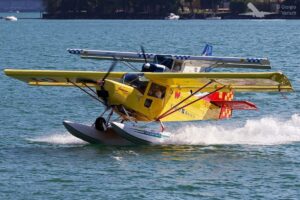 Aviazione Marittima Italiana