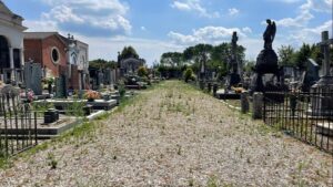 erba alta al cimitero a sesto calende