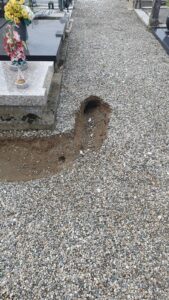 incuria al Cimitero