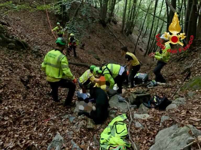 Funghi, ricerca pericolosa a Gravellona