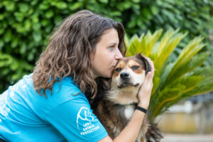 Un inverno senza gabbie”, parte la Campagna LNDC Animal Protection.