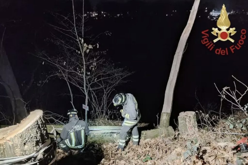 Incidente, pianta abbattuta, muore 70enne