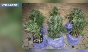 Gallarate, arrestato 37enne per spaccio di sostanze stupefacenti