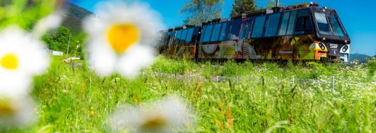 Ferrovia Vigezzina Centovalli