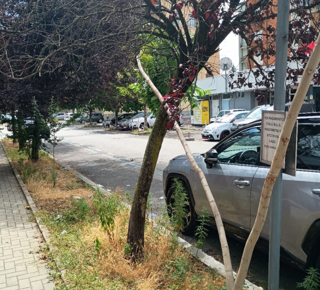 Degrado a Varese, proteste in via Tamagno