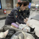 Malpensa